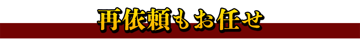 �Ĉ˗������C��